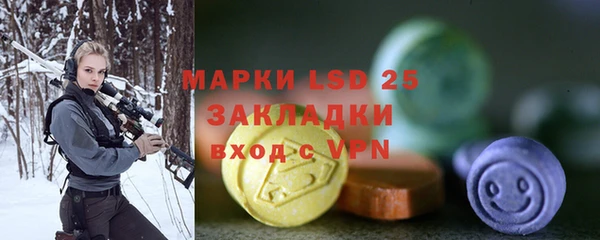 прущие грибы Зерноград