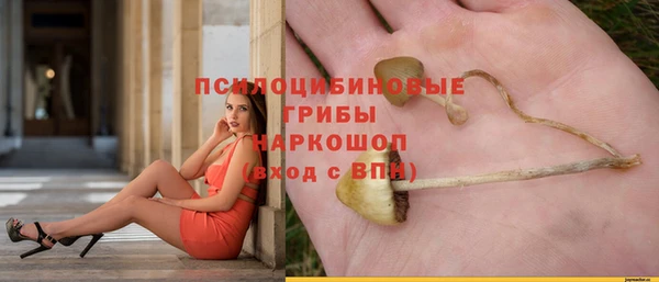 прущие грибы Зерноград