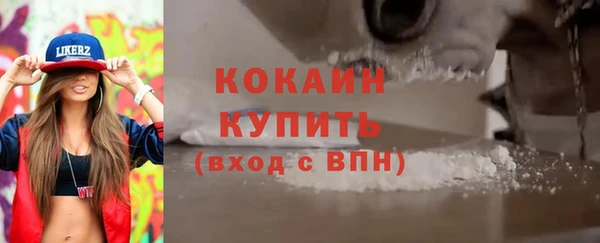 прущие грибы Зерноград