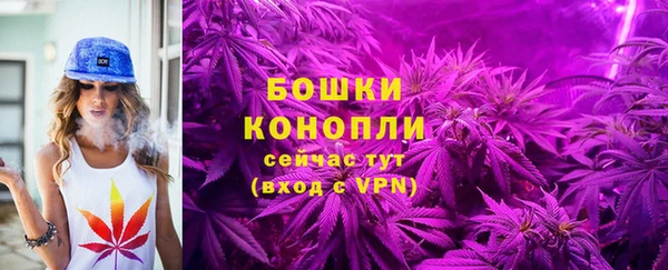 прущие грибы Зерноград
