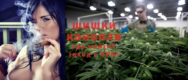 прущие грибы Зерноград