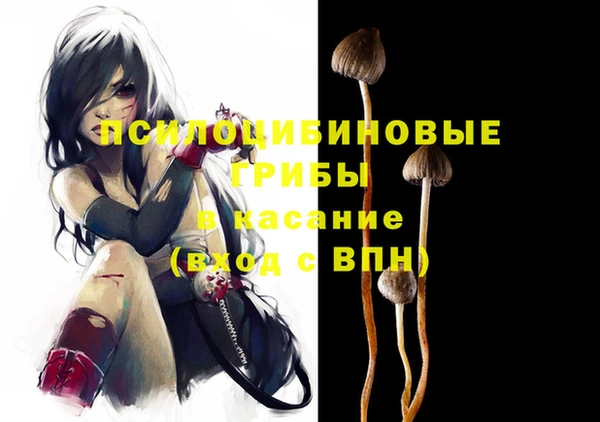 прущие грибы Зерноград