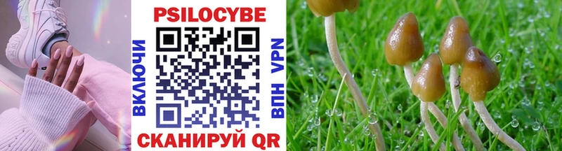 Псилоцибиновые грибы прущие грибы Купить Асбест